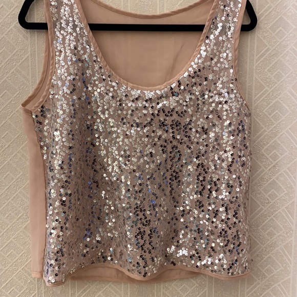 Blush sparkly sequin sheer top - Picture 3 of 7